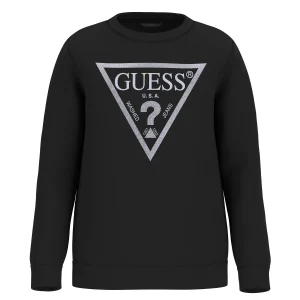 Felpa Logo Triangolo laminato